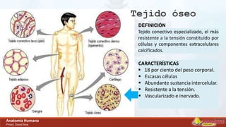 DEFINICIÓN
Tejido conectivo especializado, el más
resistente a la tensión constituido por
células y componentes extracelulares
calcificados.
CARACTERÍSTICAS
 18 por ciento del peso corporal.
 Escasas células
 Abundante sustancia intercelular.
 Resistente a la tensión.
 Vascularizado e inervado.
Tejido óseo
Anatomía Humana
Pmed. David Alva
 