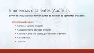 Eminencias o salientes (Apófisis):
Sirven de articulaciones o forman puntos de inserción de ligamentos o tendones
Eminencias articulares:
 Cóndilos: Saliente articular.
 Cabeza: Extremo abultado articular.
 Capítulo: Como una cabeza, pero de menor tamaño.
 Cara articular.
 Trócleas.
 