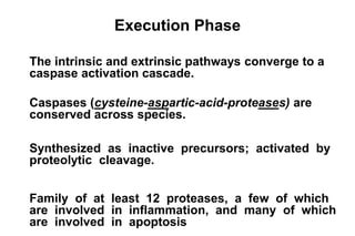 The cellular basis of disease cell injury apoptosis and necrosis | PDF