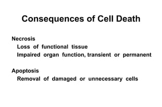 The cellular basis of disease cell injury apoptosis and necrosis | PDF