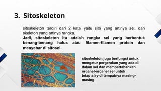 Struktur dan Fungsi-fungsi dari struktur sel | PPTX