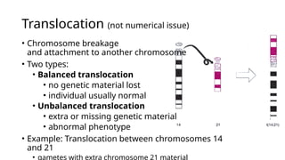 Translocated Incompatibility Embryology 02. Chromosomal Abnormalities.pptx