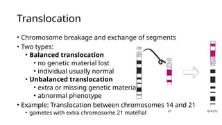 Embryology 02. Chromosomal Abnormalities.pptx