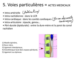 Lc Rachidien 02. Voies d'administration pharmacologie | PDF