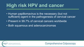Comprehensive Epidemiology of HPV and Cervical Cancer: Risks ...
