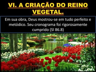 Em sua obra, Deus mostrou-se em tudo perfeito e
metódico. Seu cronograma foi rigorosamente
cumprido (Sl 86.8)
 