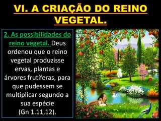 2. As possibilidades do
reino vegetal. Deus
ordenou que o reino
vegetal produzisse
ervas, plantas e
árvores frutíferas, para
que pudessem se
multiplicar segundo a
sua espécie
(Gn 1.11,12).
 