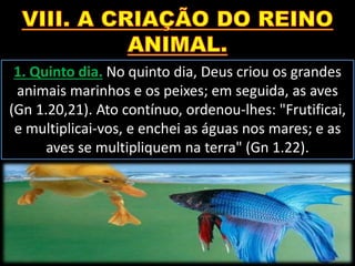 1. Quinto dia. No quinto dia, Deus criou os grandes
animais marinhos e os peixes; em seguida, as aves
(Gn 1.20,21). Ato contínuo, ordenou-lhes: "Frutificai,
e multiplicai-vos, e enchei as águas nos mares; e as
aves se multipliquem na terra" (Gn 1.22).
 