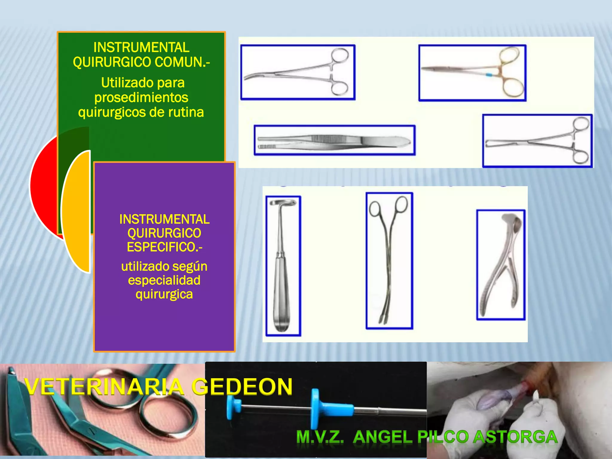 INSTRUMENTAL
QUIRURGICO COMUN.-
Utilizado para
prosedimientos
quirurgicos de rutina
INSTRUMENTAL
QUIRURGICO
ESPECIFICO.-
utilizado según
especialidad
quirurgica
VETERINARIA GEDEON
 