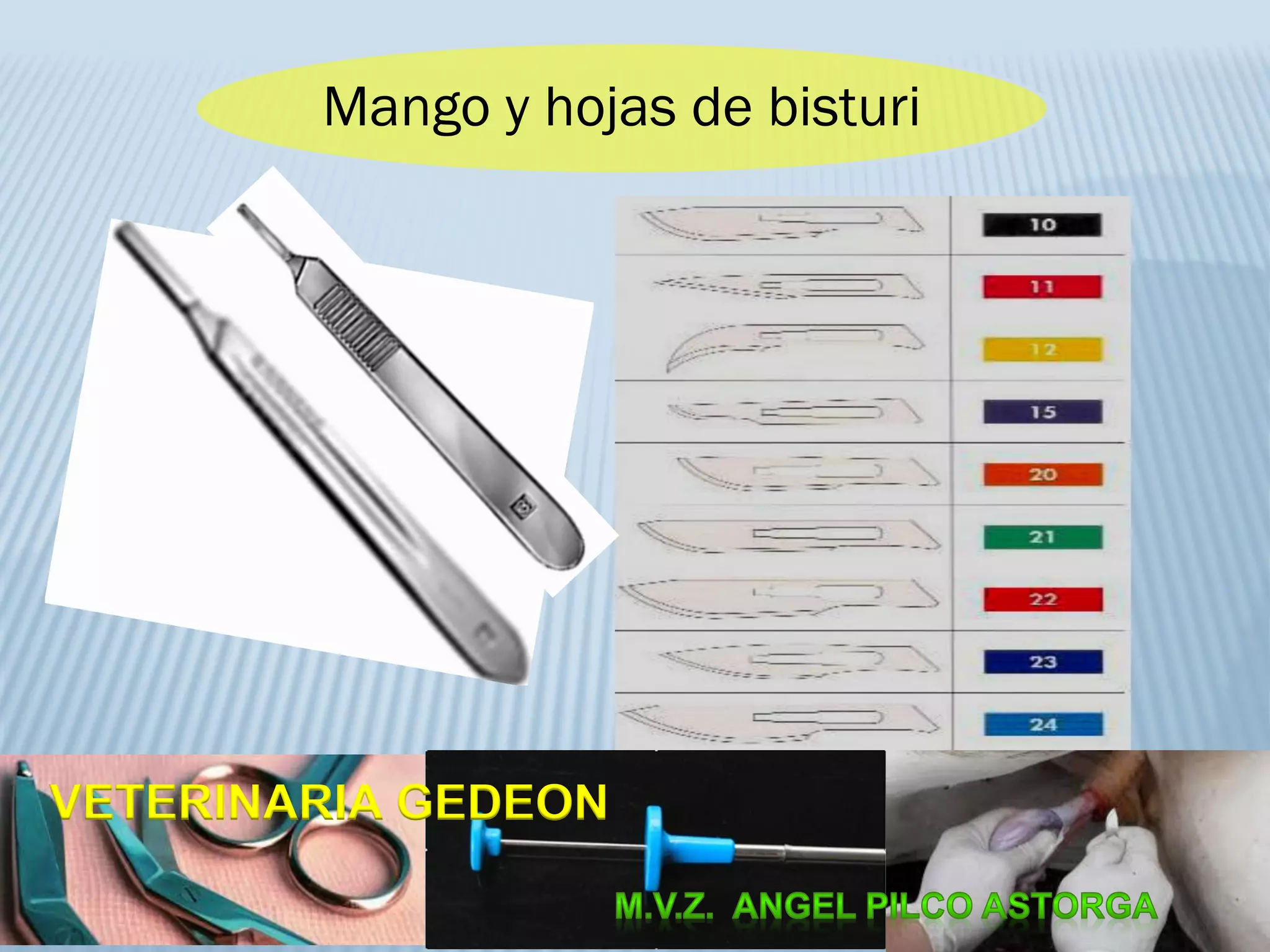 Mango y hojas de bisturi
VETERINARIA GEDEON
 