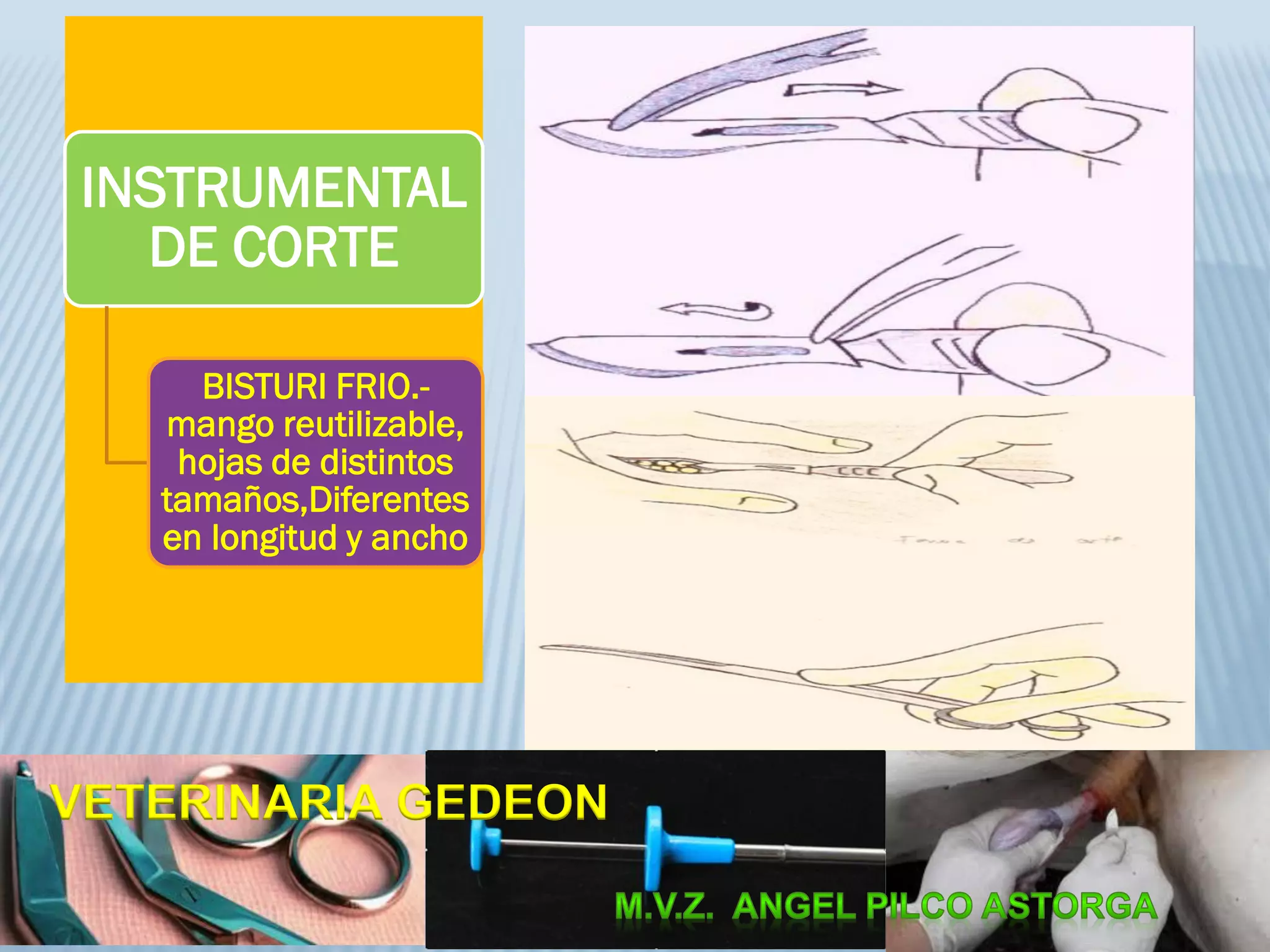 INSTRUMENTAL
DE CORTE
BISTURI FRIO.-
mango reutilizable,
hojas de distintos
tamaños,Diferentes
en longitud y ancho
VETERINARIA GEDEON
 