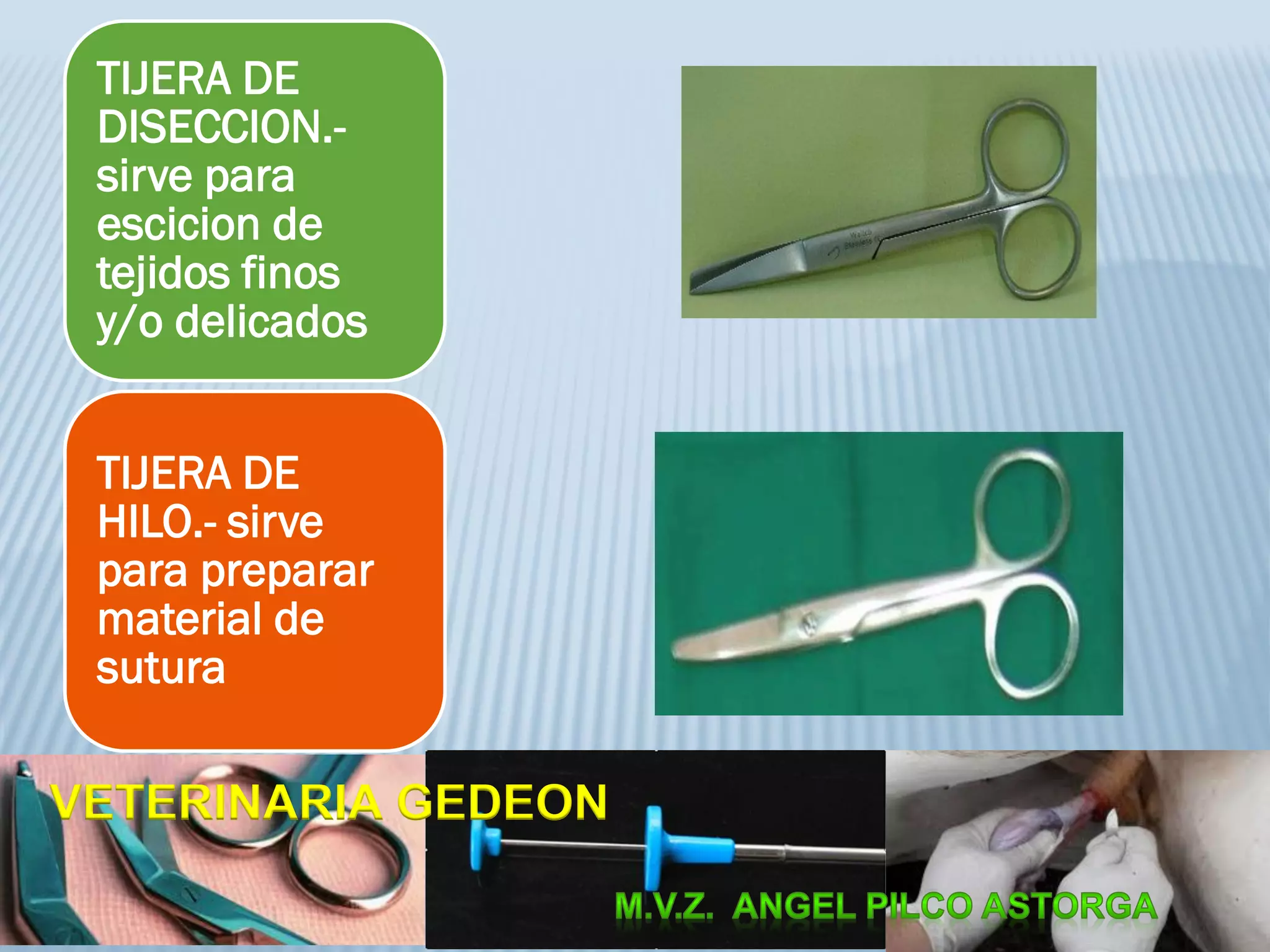 TIJERA DE
DISECCION.-
sirve para
escicion de
tejidos finos
y/o delicados
TIJERA DE
HILO.- sirve
para preparar
material de
sutura
VETERINARIA GEDEON
 