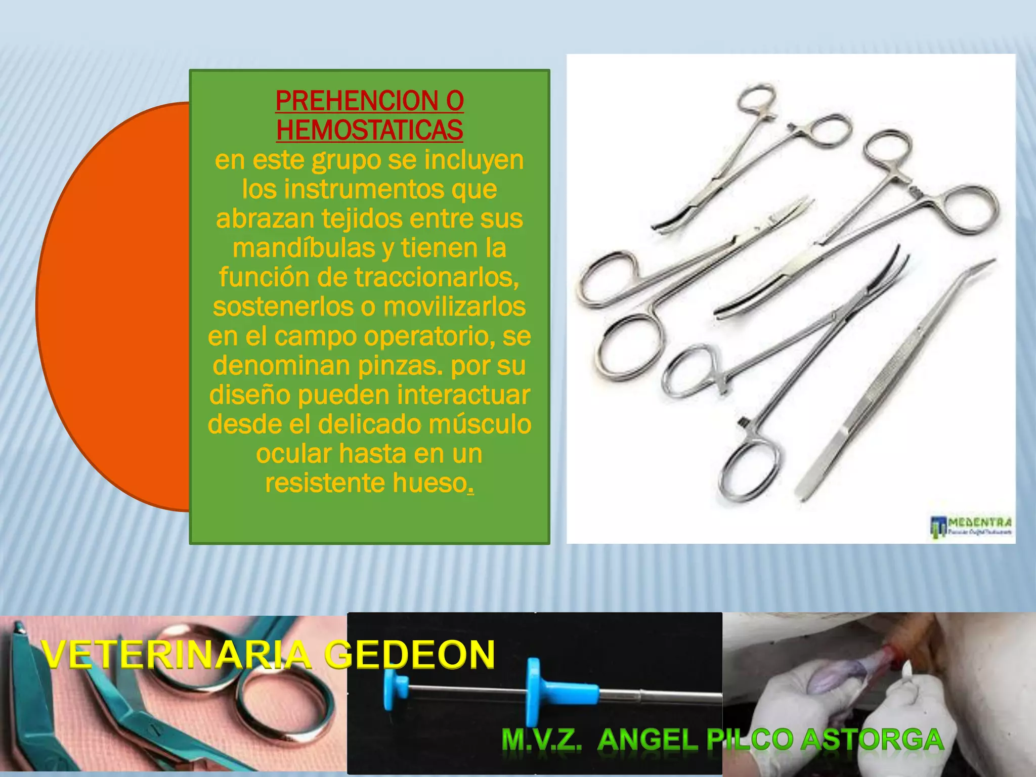 PREHENCION O
HEMOSTATICAS
en este grupo se incluyen
los instrumentos que
abrazan tejidos entre sus
mandíbulas y tienen la
función de traccionarlos,
sostenerlos o movilizarlos
en el campo operatorio, se
denominan pinzas. por su
diseño pueden interactuar
desde el delicado músculo
ocular hasta en un
resistente hueso.
VETERINARIA GEDEON
 