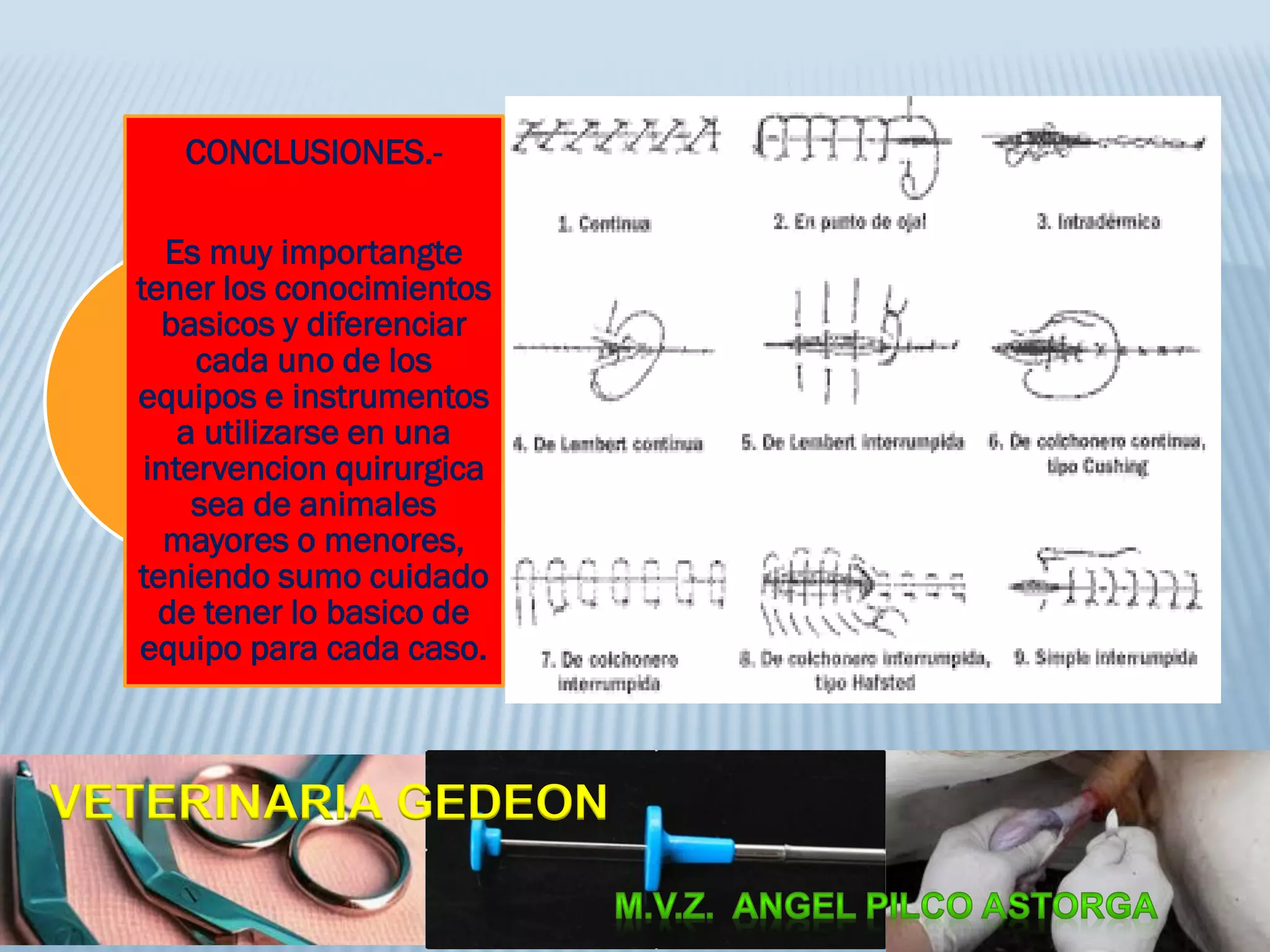 CONCLUSIONES.-
Es muy importangte
tener los conocimientos
basicos y diferenciar
cada uno de los
equipos e instrumentos
a utilizarse en una
intervencion quirurgica
sea de animales
mayores o menores,
teniendo sumo cuidado
de tener lo basico de
equipo para cada caso.
VETERINARIA GEDEON
 
