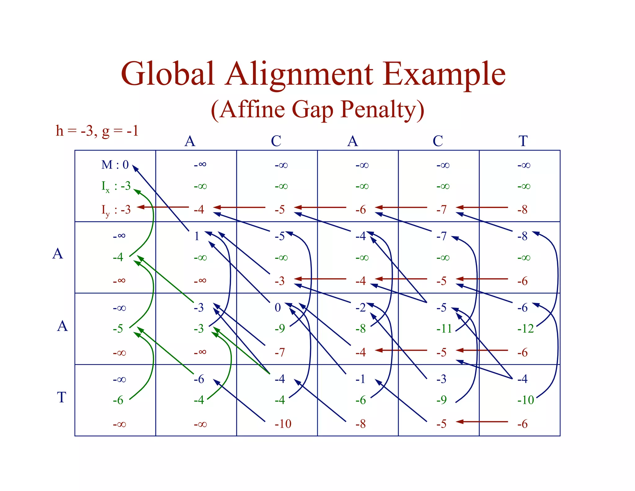 Global Alignment Example
(Affine Gap Penalty)
M : 0
Ix : -3
Iy : -3
-∞
-∞
-4
-∞
-∞
-5
-∞
-∞
-7
-∞
-∞
-6
-∞
-∞
-8
1
-∞
-∞
-5
-∞
-3
-7
-∞
-5
-4
-∞
-4
-8
-∞
-6
-∞
-4
-∞
-3
-3
-∞
0
-9
-7
-5
-11
-5
-2
-8
-4
-6
-12
-6
-∞
-5
-∞
-6
-4
-∞
-4
-4
-10
-3
-9
-5
-1
-6
-8
-4
-10
-6
-∞
-6
-∞
A C A C T
A
A
T
h = -3, g = -1
 