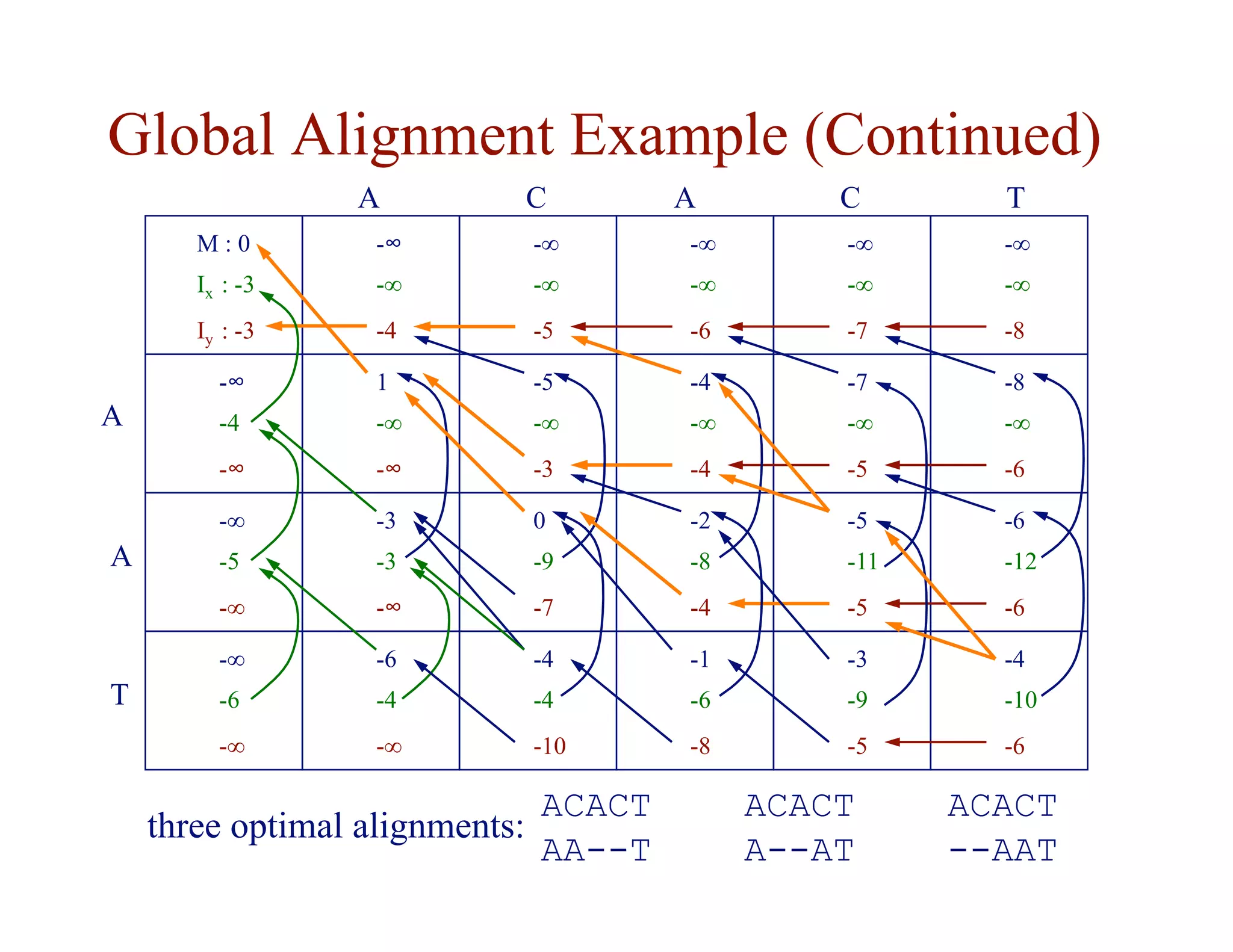 Global Alignment Example (Continued)
M : 0
Ix : -3
Iy : -3
-∞
-∞
-4
-∞
-∞
-5
-∞
-∞
-7
-∞
-∞
-6
-∞
-∞
-8
1
-∞
-∞
-5
-∞
-3
-7
-∞
-5
-4
-∞
-4
-8
-∞
-6
-∞
-4
-∞
-3
-3
-∞
0
-9
-7
-5
-11
-5
-2
-8
-4
-6
-12
-6
-∞
-5
-∞
-6
-4
-∞
-4
-4
-10
-3
-9
-5
-1
-6
-8
-4
-10
-6
-∞
-6
-∞
A C A C T
A
A
T
ACACT
--AAT
ACACT
A--AT
ACACT
AA--T
three optimal alignments:
 