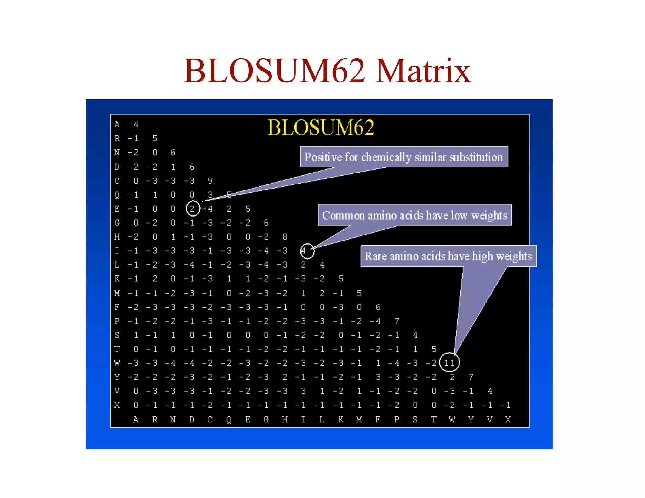 BLOSUM62 Matrix
 