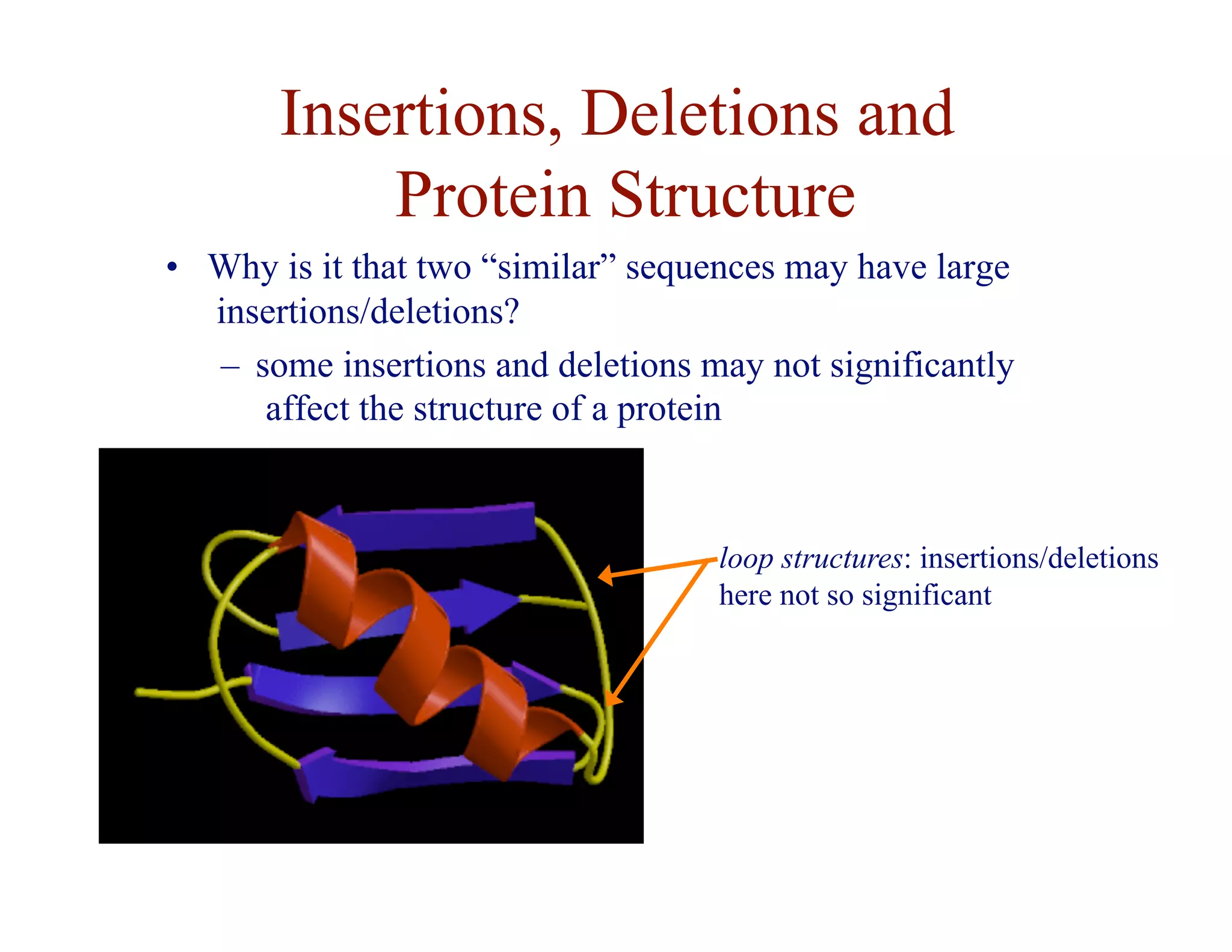 Insertions, Deletions and
Protein Structure
loop structures: insertions/deletions
here not so significant
• Why is it that two “similar” sequences may have large
insertions/deletions?
– some insertions and deletions may not significantly
affect the structure of a protein
 