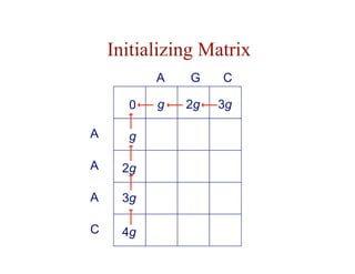 Initializing Matrix
A g
A 2g
C
A G
A 3g
C 4g
0 3g
g 2g
 