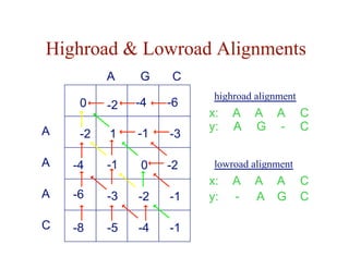 Highroad & Lowroad Alignments
A -2
A -4
C
A G
A -6
C -8
0 -6
-2 -4
1 -1 -3
-1 0 -2
-3 -2 -1
-5 -4 -1
x:
y:
A
G
A
A
A
-
C
C
lowroad alignment
x:
y:
A
-
A
G
A
A
C
C
highroad alignment
 