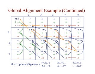 Global Alignment Example (Continued)
M : 0
Ix : -3
Iy : -3
-∞
-∞
-4
-∞
-∞
-5
-∞
-∞
-7
-∞
-∞
-6
-∞
-∞
-8
1
-∞
-∞
-5
-∞
-3
-7
-∞
-5
-4
-∞
-4
-8
-∞
-6
-∞
-4
-∞
-3
-3
-∞
0
-9
-7
-5
-11
-5
-2
-8
-4
-6
-12
-6
-∞
-5
-∞
-6
-4
-∞
-4
-4
-10
-3
-9
-5
-1
-6
-8
-4
-10
-6
-∞
-6
-∞
A C A C T
A
A
T
ACACT
--AAT
ACACT
A--AT
ACACT
AA--T
three optimal alignments:
 