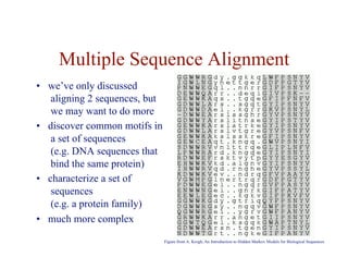 Multiple Sequence Alignment
• we’ve only discussed
aligning 2 sequences, but
we may want to do more
• discover common motifs in
a set of sequences
(e.g. DNA sequences that
bind the same protein)
• characterize a set of
sequences
(e.g. a protein family)
• much more complex
Figure from A. Krogh, An Introduction to Hidden Markov Models for Biological Sequences
 