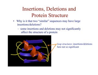 Insertions, Deletions and
Protein Structure
loop structures: insertions/deletions
here not so significant
• Why is it that two “similar” sequences may have large
insertions/deletions?
– some insertions and deletions may not significantly
affect the structure of a protein
 