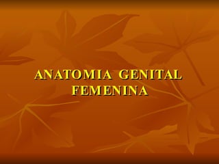 ANATOMIA  GENITAL  FEMENINA 