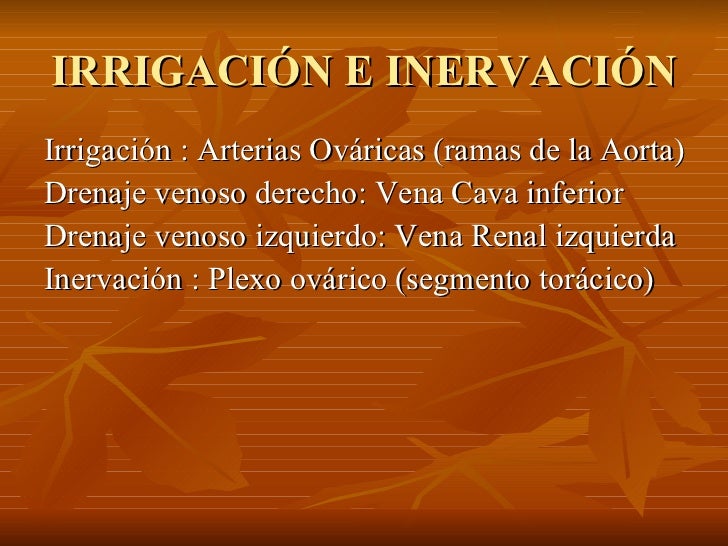 vestibulo anatomia femenina 02 anatom 237 a genital femenina vestibulo anatomia femenina 02 anatom 237 a genital femenina