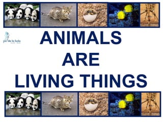 ANIMALS
ARE
LIVING THINGS

 