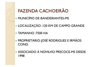  MUNICÍPIO   DE BANDEIRANTES-MS

  LOCALIZAÇÃO     :120 KM DE CAMPO GRANDE

  TAMANHO     :7500 HA

  PROPRIETÁRIO: JOSÉ     RODRIGUES E IRMÃOS
 COND.

  ASSOCIADO    À NOVILHO PRECOCE-MS DESDE
 1998
 