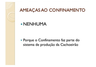  NENHUMA



  Porqueo Confinamento faz parte do
 sistema de produção da Cachoeirão
 
