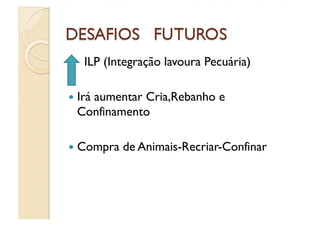      ILP (Integração lavoura Pecuária)

  Irá aumentar Cria,Rebanho e
     Confinamento

  Compra    de Animais-Recriar-Confinar
 