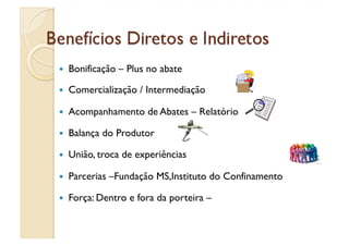     Bonificação – Plus no abate

    Comercialização / Intermediação

    Acompanhamento de Abates – Relatório

    Balança do Produtor

    União, troca de experiências

    Parcerias –Fundação MS,Instituto do Confinamento

    Força: Dentro e fora da porteira –
 
