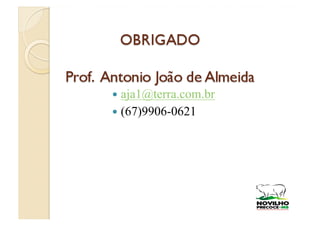   aja1@terra.com.br
  (67)9906-0621
 