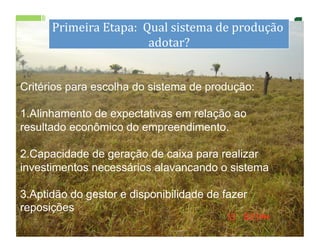 dS Primeira	
  Etapa:	
  	
  Qual	
  sistema	
  de	
  produção	
  
                               adotar?
                                     	
  


Critérios para escolha do sistema de produção:

1.  linhamento de expectativas em relação ao
  A
resultado econômico do empreendimento.

2.  apacidade de geração de caixa para realizar
  C
investimentos necessários alavancando o sistema

3.  ptidão do gestor e disponibilidade de fazer
  A
reposições
                                                                11	
  
 