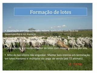 dS
                                Formação	
  de	
  lotes
                                                      	
  


• 	
  Apartação	
  por	
  raça	
  (cruzado,	
  nelore,	
  azebuado)	
  com	
  foco	
  no	
  
 	
  
desempenho	
  e	
  no	
  manejo.	
  

• Padronização	
  dos	
  lotes	
  por	
  peso.	
  
 	
  

•  ormação	
  de	
  um	
  número	
  maior	
  de	
  lotes	
  com	
  menos	
  animais	
  por	
  lote.	
  	
  
 F

• 	
  Mito	
  do	
  boi	
  inteiro	
  não	
  engordar.	
  	
  Manter	
  bois	
  inteiros	
  em	
  terminação	
  
 	
  
em	
  lotes	
  menores	
  e	
  	
  múlLplos	
  da	
  carga	
  	
  de	
  venda	
  (até	
  72	
  animais).	
  

                                                                                                         22	
  
 