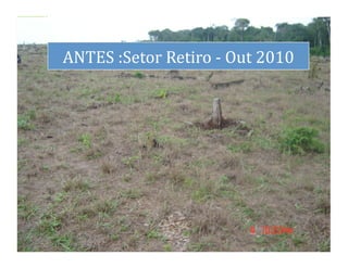 dS
     ANTES	
  :Setor	
  Retiro	
  -­‐	
  Out	
  2010	
  




                                                           35	
  
 