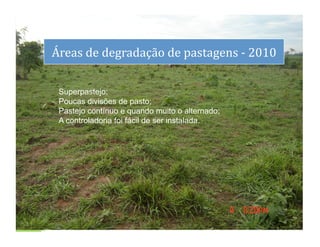 dS
     Áreas	
  de	
  degradação	
  de	
  pastagens	
  -­‐	
  2010	
  

      Superpastejo;
      Poucas divisões de pasto;
      Pastejo contínuo e quando muito o alternado;
      A controladoria foi fácil de ser instalada.




                                                                       7	
  
 