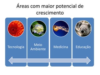 Áreas com maior potencial de
crescimento
Tecnologia
Meio
Ambiente
Medicina Educação
 