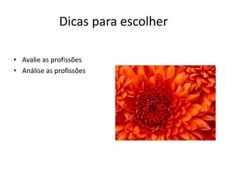 Dicas para escolher
• Avalie as profissões
• Análise as profissões
 