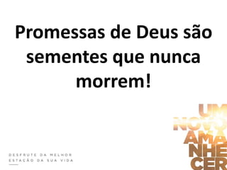 Promessas de Deus são
sementes que nunca
morrem!
 