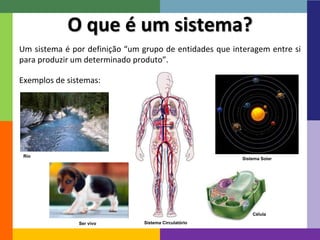 O que é um sistema? 
Um sistema é por definição “um grupo de entidades que interagem entre si 
para produzir um determinado produto”. 
Exemplos de sistemas: 
Rio 
Sistema Circulatório 
Sistema Solar 
Célula 
Ser vivo 
 