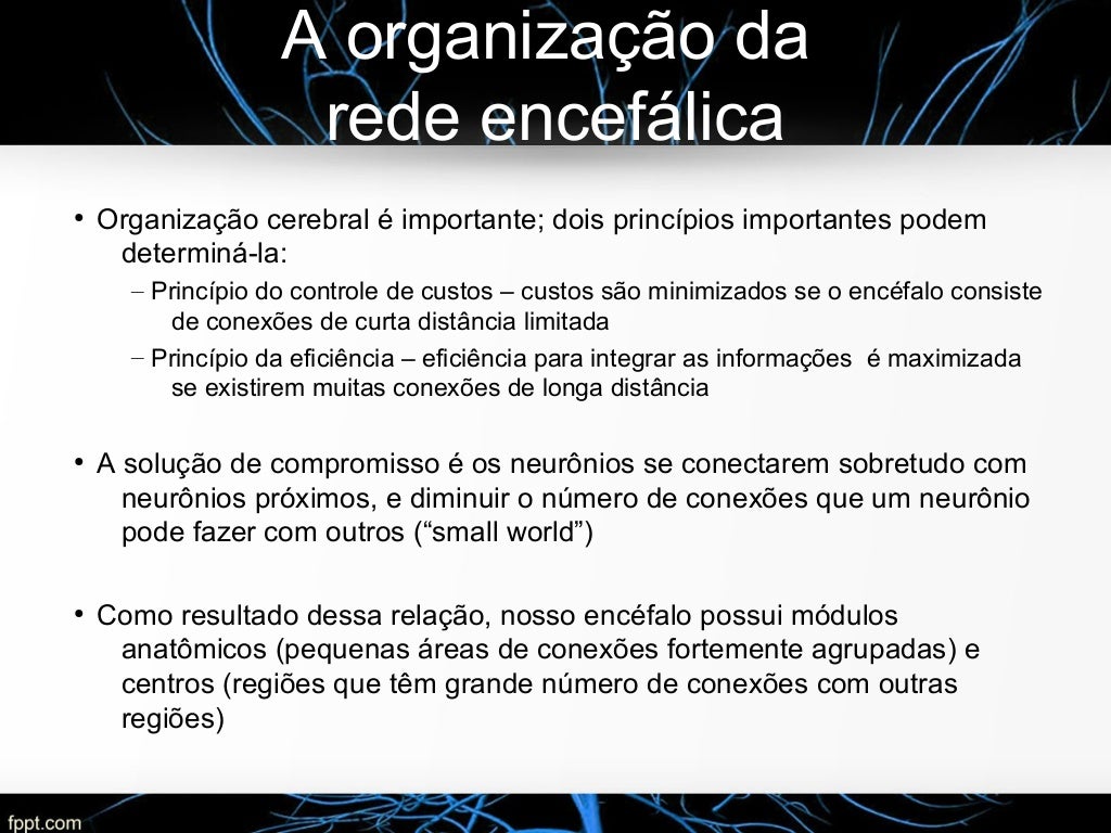 Algumas Das Funções Mais Estudadas Nos Processos Psicológicos Básicos São