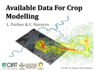 L. Parker & C. Navarro
01/08/14, Maputo-Mozambique
Available Data For Crop
Modelling
 