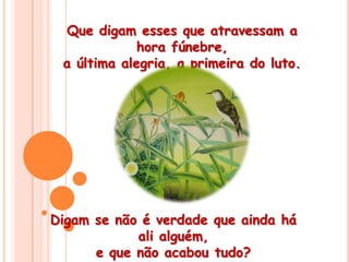 Que digam esses que atravessam a hora fúnebre, a última alegria, a primeira do luto.Digam se não é verdade que ainda há ali alguém, e que não acabou tudo? 
