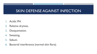 Skin Infections Journal 02- Bacterial skin Infections - Dr Ayman Al-Wadei.pdf