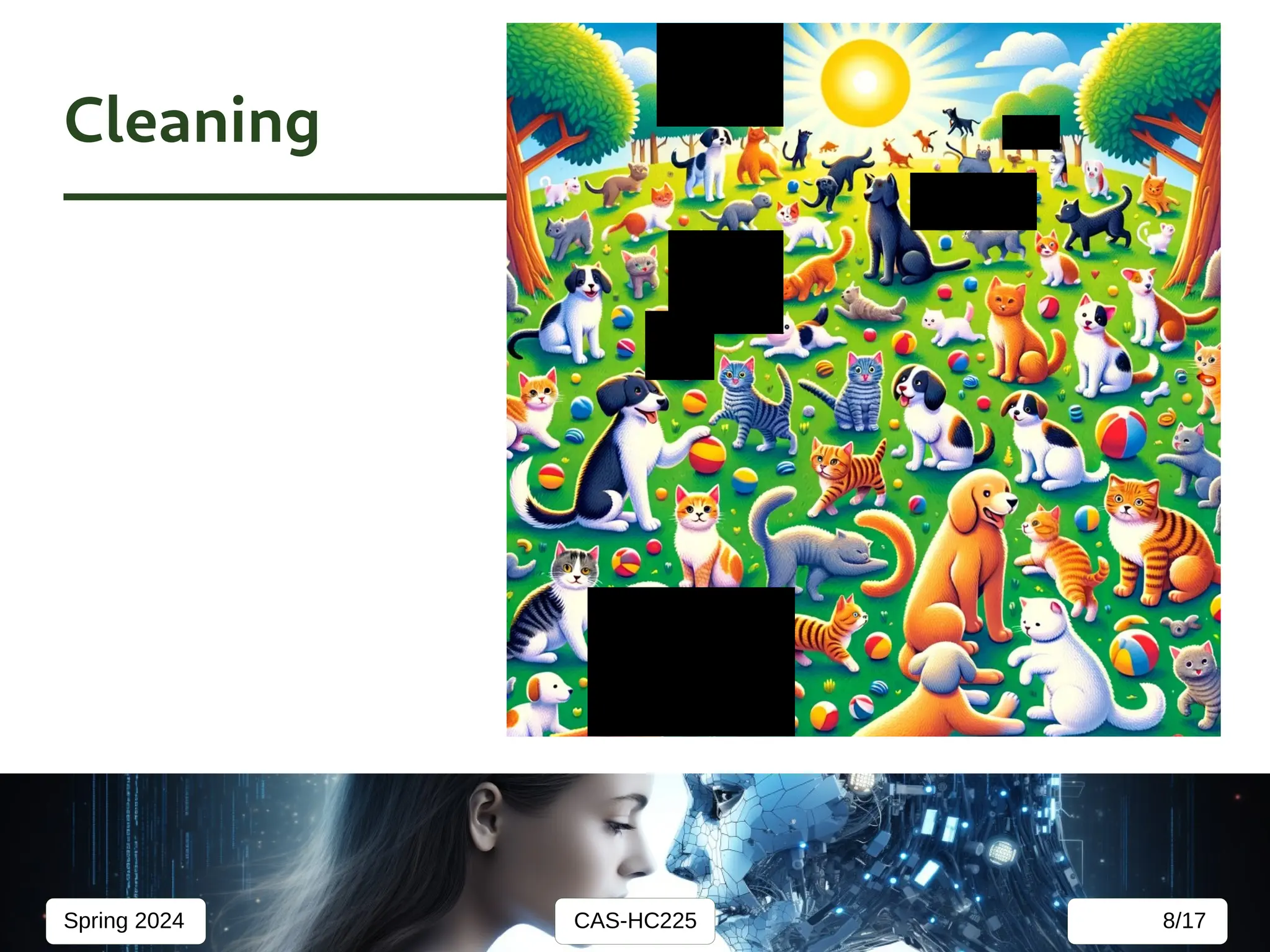 CAS-HC225
Spring 2024 8/17
Cleaning
 