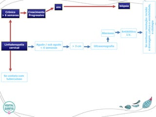 Crônico 
> 6 semanas 
Crescimento 
Progressivo 
sim 
Linfodenopatia 
cervical 
Se contato com 
tuberculose 
Agudo / sub agudo 
< 6 semanas 
> 3 cm 
Ultrasonografia 
Abscesso 
Antibiótico 
I.V. 
Se nenhuma resolução: incisão 
e drenagem, cultura e sensibilidade, 
e citologia 
biópsia  