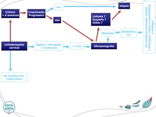 Crônico 
> 6 semanas 
Crescimento 
Progressivo 
sim 
não 
Linfodenopatia 
cervical 
Se contato com 
tuberculose 
Agudo / sub agudo 
< 6 semanas 
> 3 cm 
Ultrasonografia 
Linfoma ? 
Suspeita ? 
Dúbio ? 
Abscesso 
Antibiótico 
I.V. 
biópsia 
Se nenhuma resolução: incisão 
e drenagem, cultura e sensibilidade, 
e citologia  